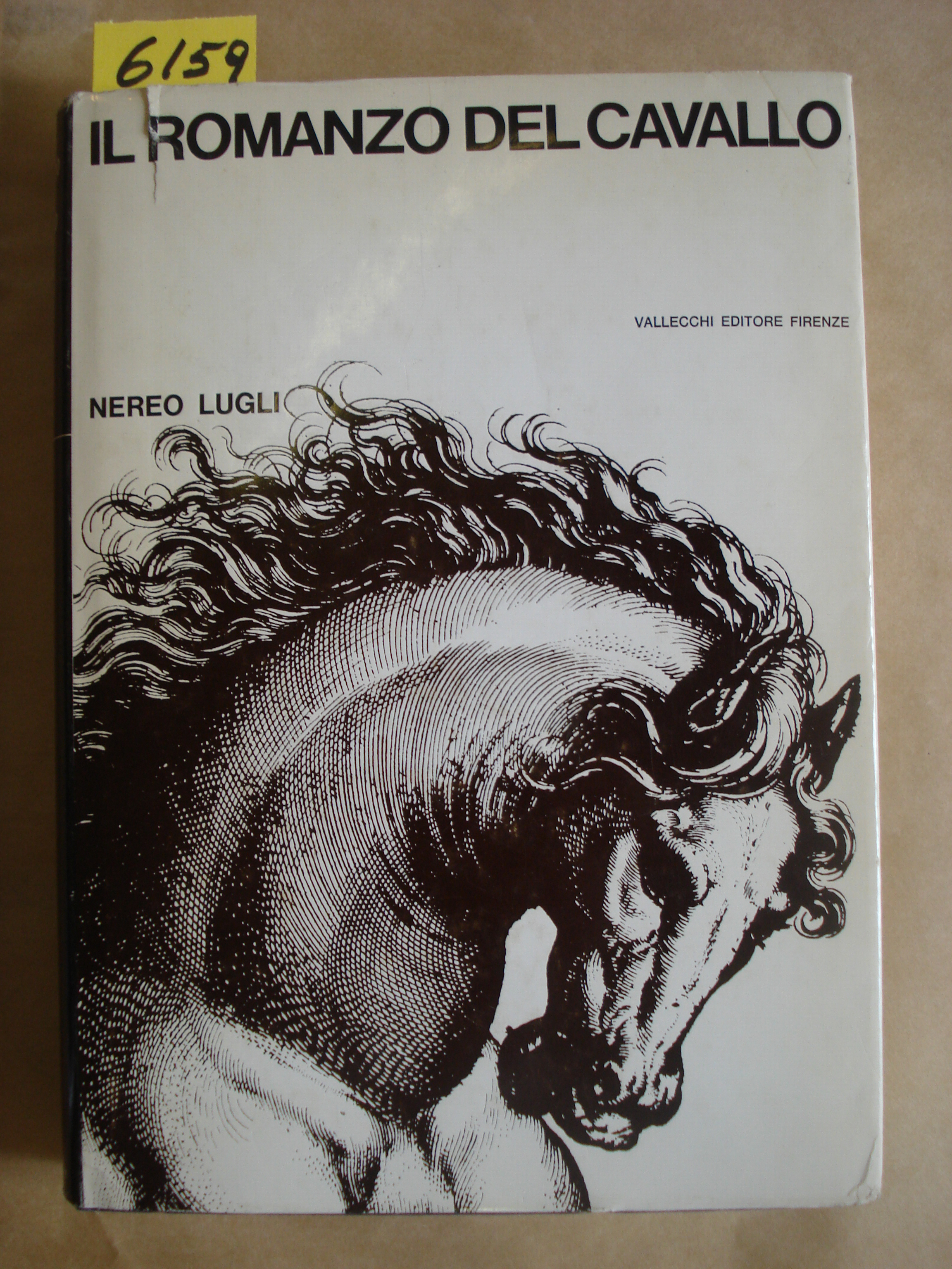 IL ROMANZO DEL CAVALLO.