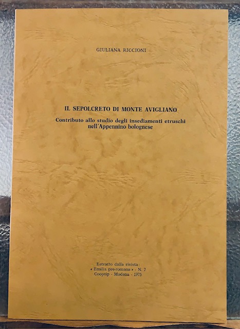 IL SEPOLCRETO DI MONTE AVIGLIANO. CONTRIBRUTO ALLO STUDIO DEGLI INSEDIAMENTI …