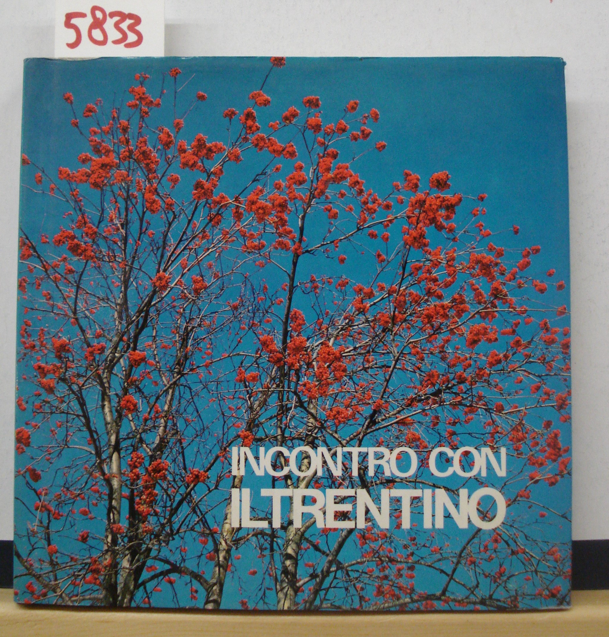 INCONTRO CON IL TRENTINO.