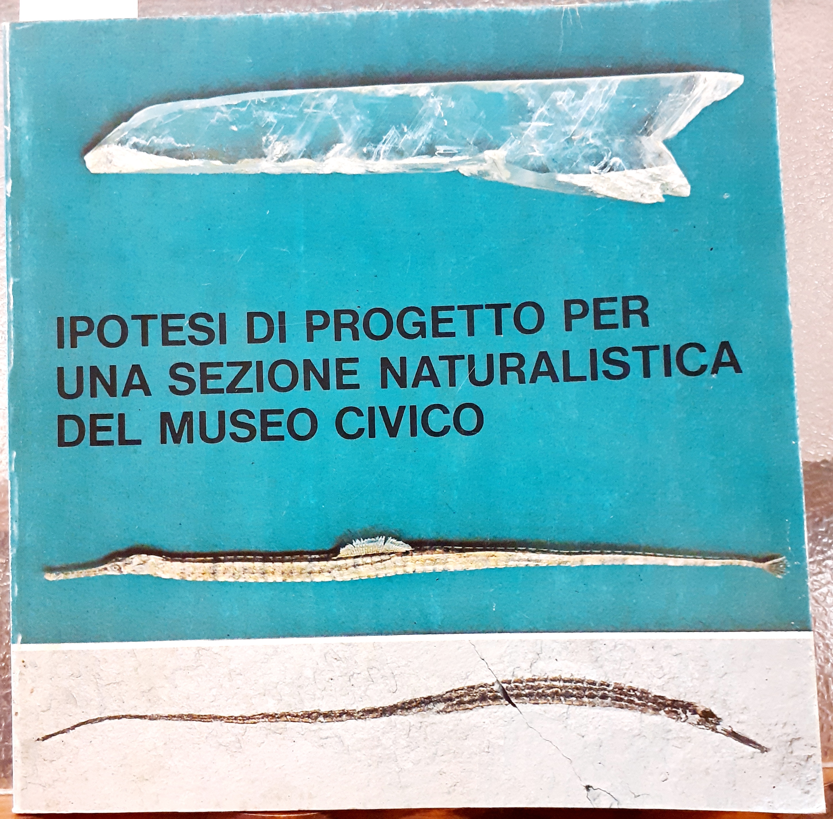IPOTESI DI PROGETTO PER UNA SEZIONE NATURALISTICA DEL MUSEO CIVICO., …