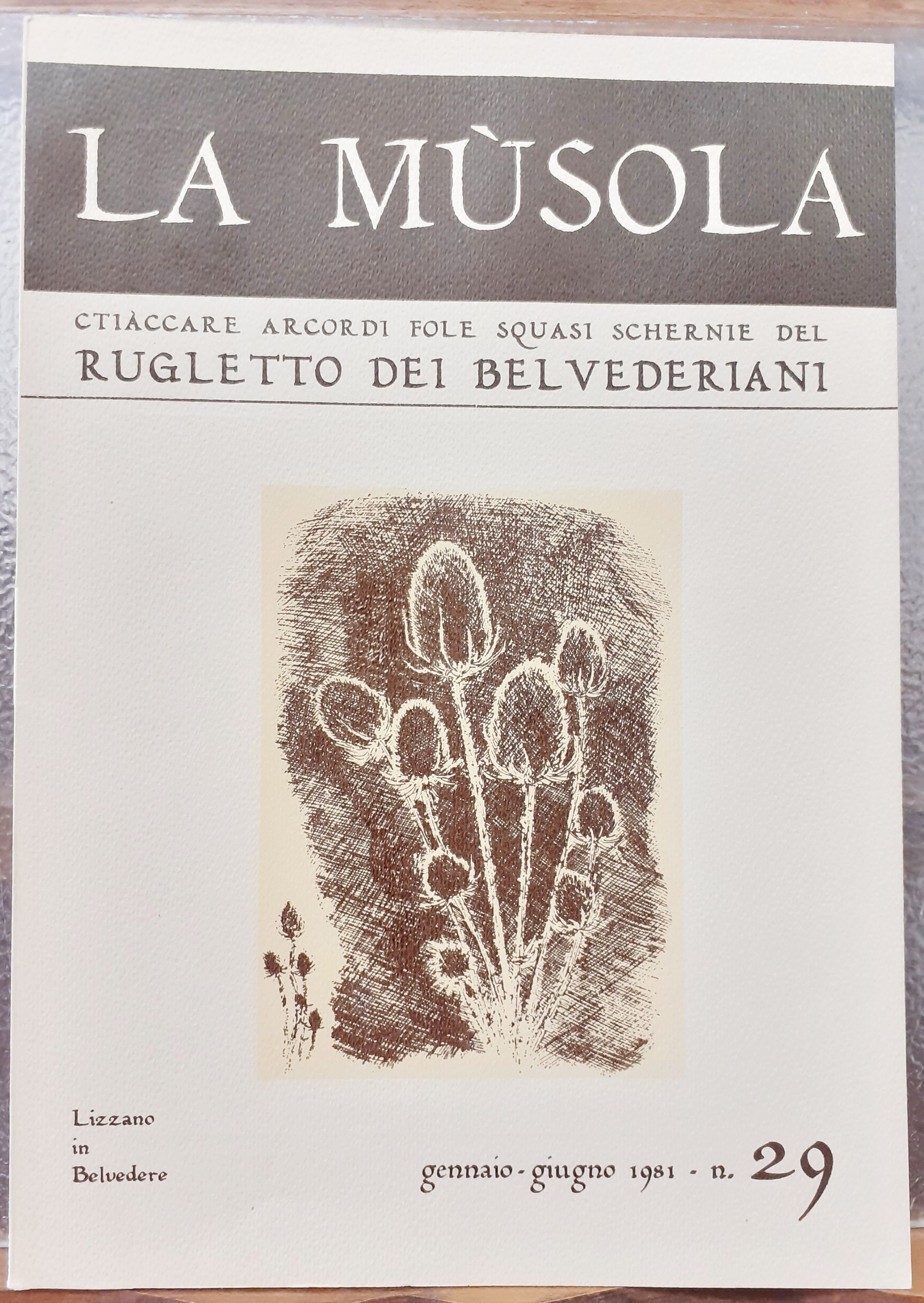 LA MUSOLA. CTIACCARE ARCORDI FOLE SQUASI SCHERNIE DEL RUGLETTO DEI …