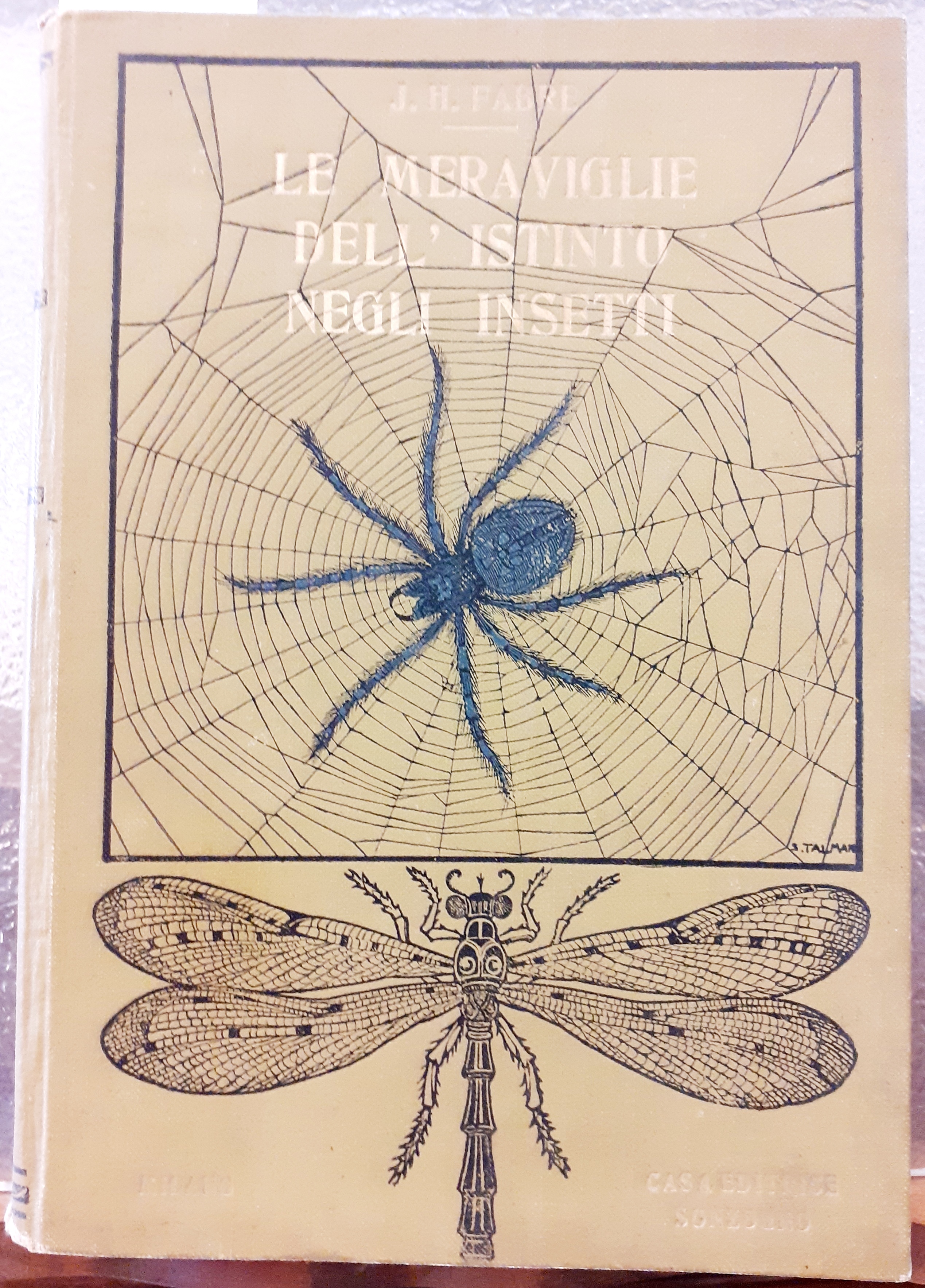 LE MERAVIGLIE DELL'ISTINTO NEGLI INSETTI.