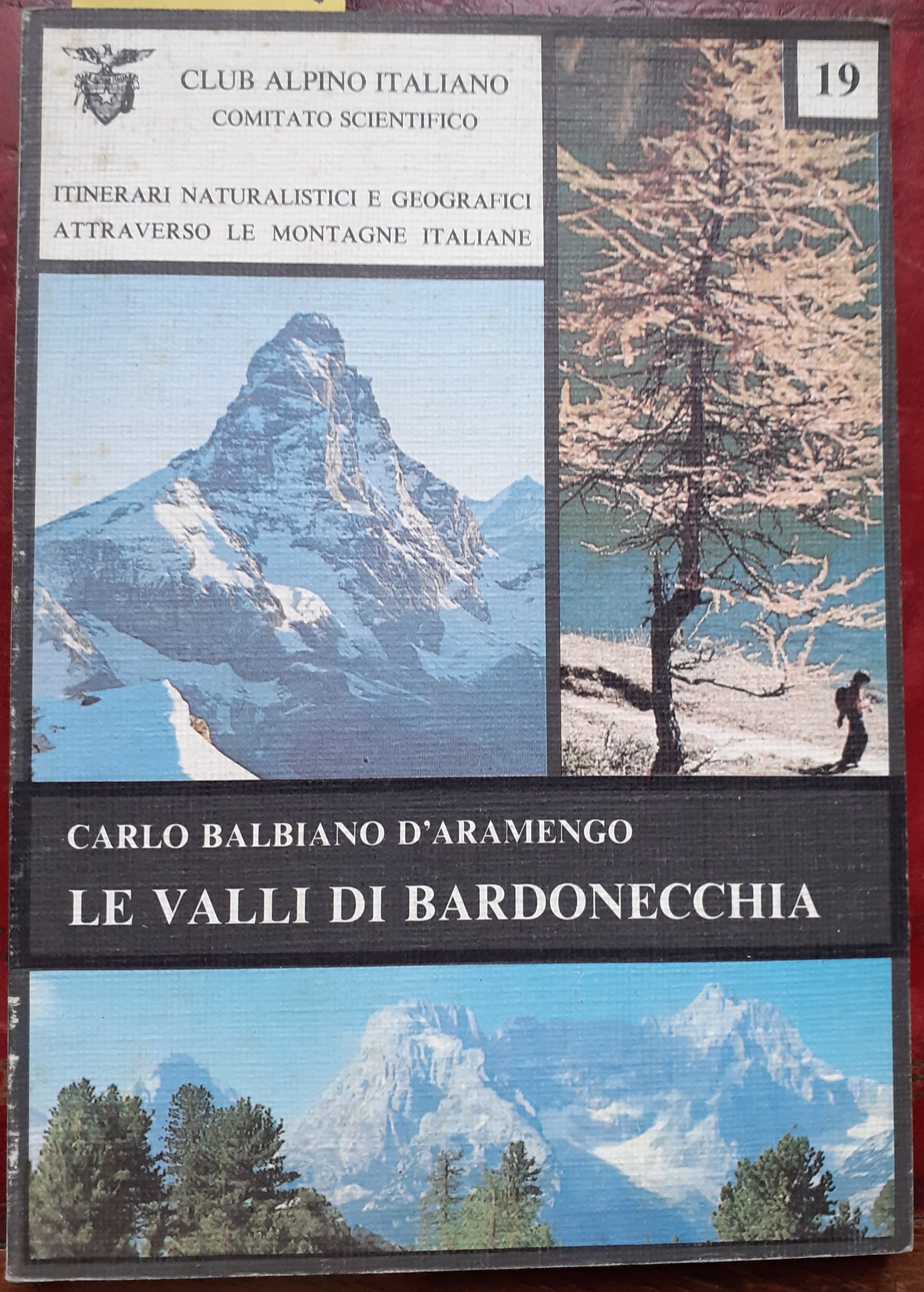 LE VALLI DI BARDONECCHIA. n. 19.