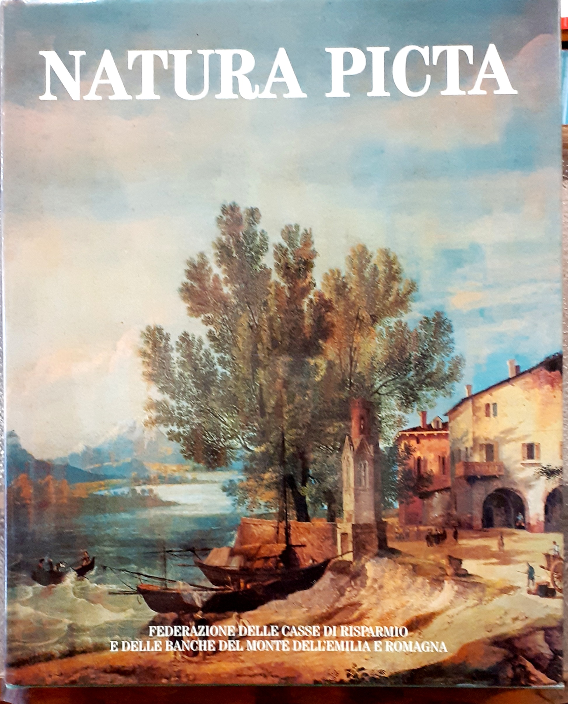 NATURA PICTA: PAESAGGIO E IMMAGINI DELL'EMILIA ROMAGNA NELLE ARTI FIGURATIVE, …
