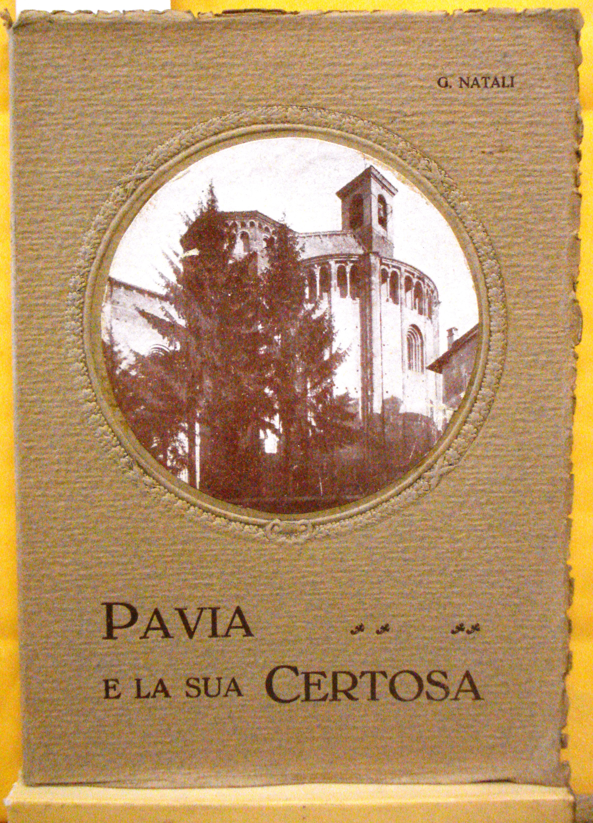 PAVIA E LA SUA CERTOSA: GUIDA ARTISTICA, con introduzione storica …