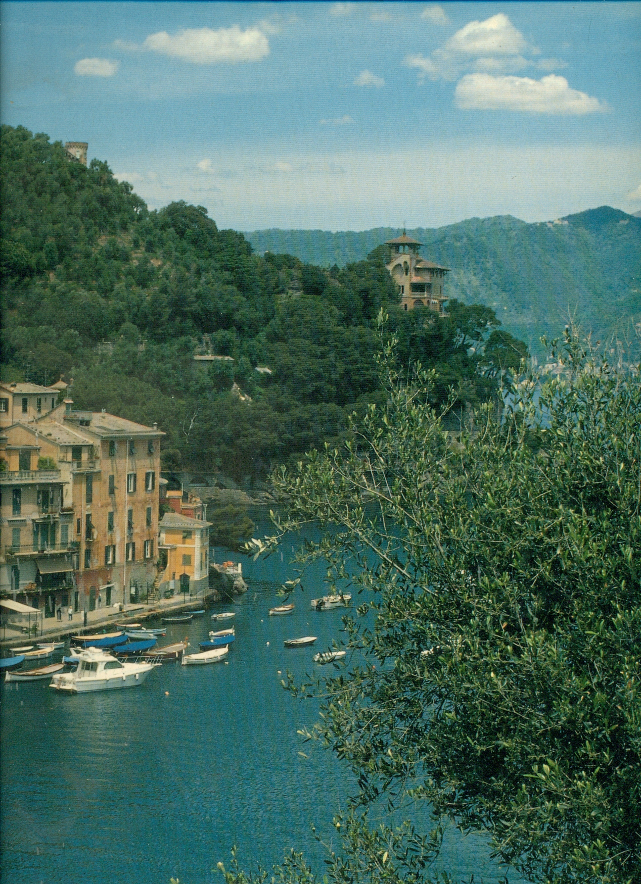 PORTI MINORI DELLA LIGURIA.