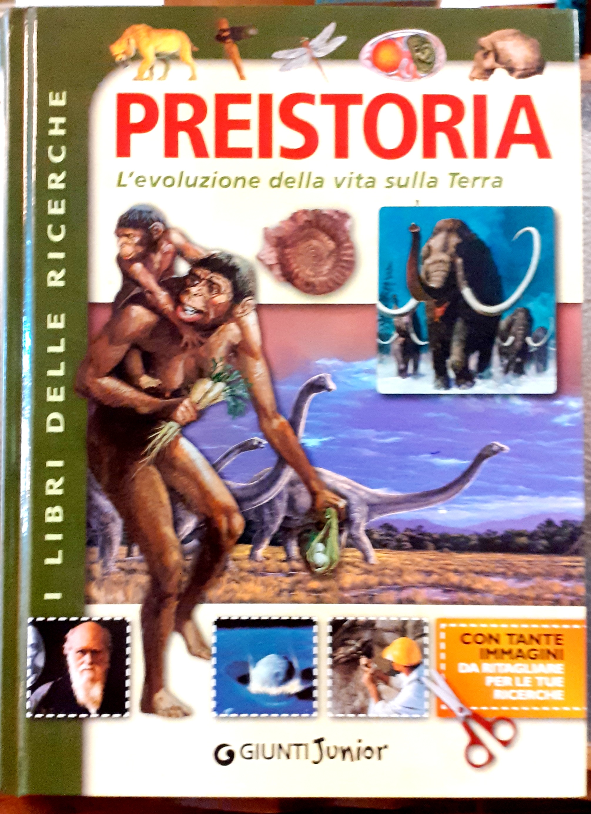 PREISTORIA. L' EVOLUZIONE DELLA VITA SULLA TERRA.
