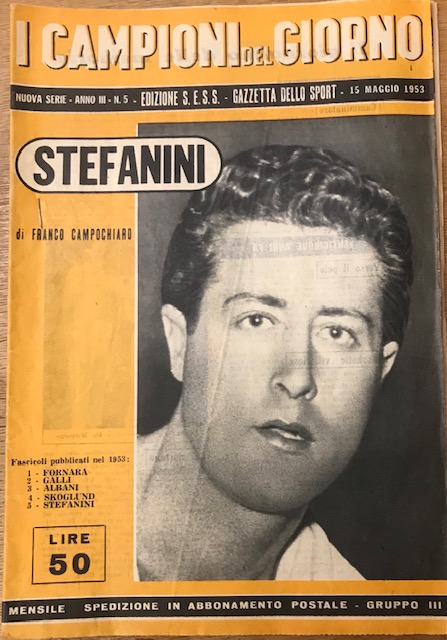 STEFANINI.