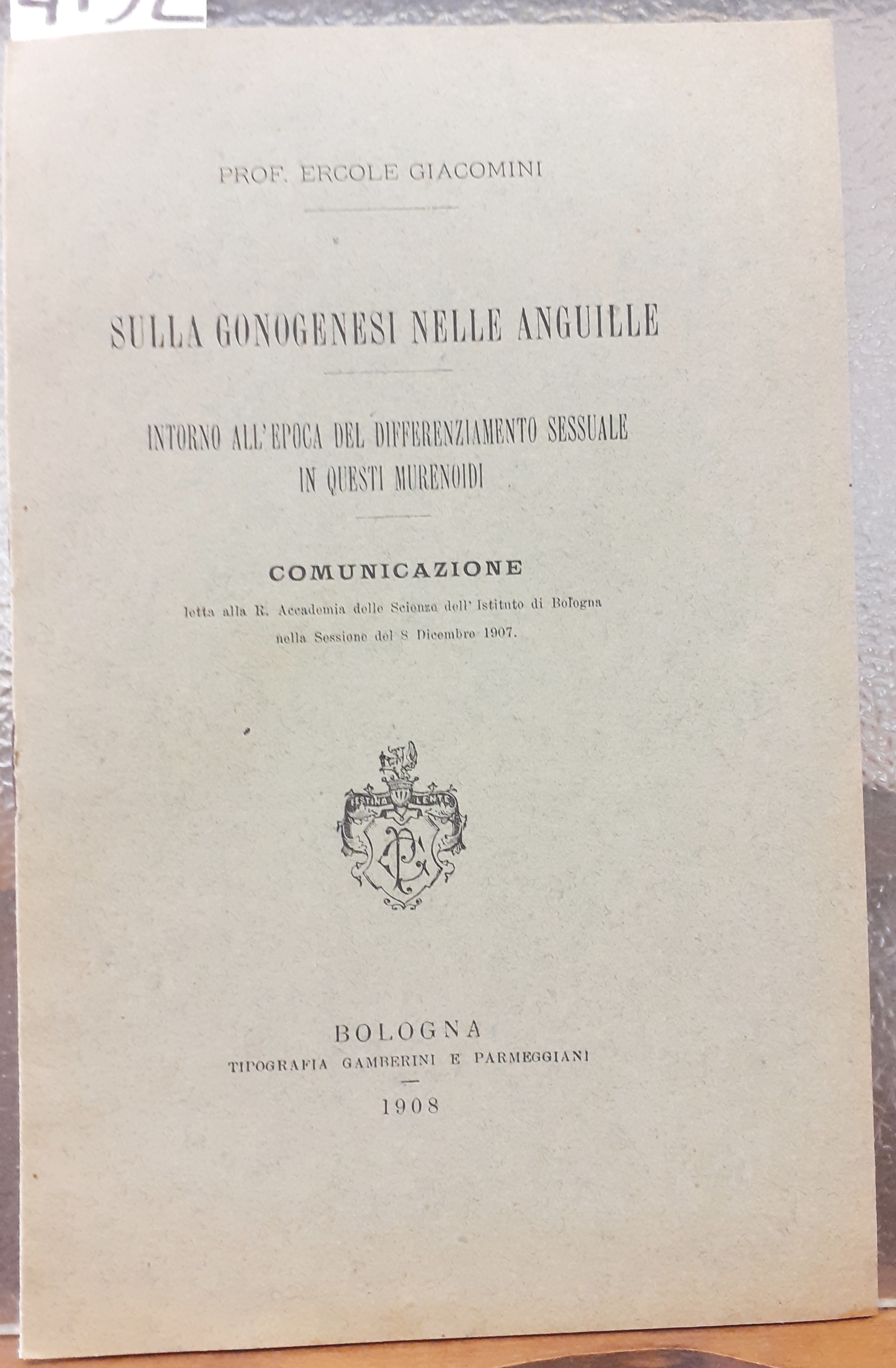 SULLA GONOGENESI NELLE ANGUILLE, INTORNO ALL'EPOCA DEL DIFFERENZIAMENTO SESSUALE IN …