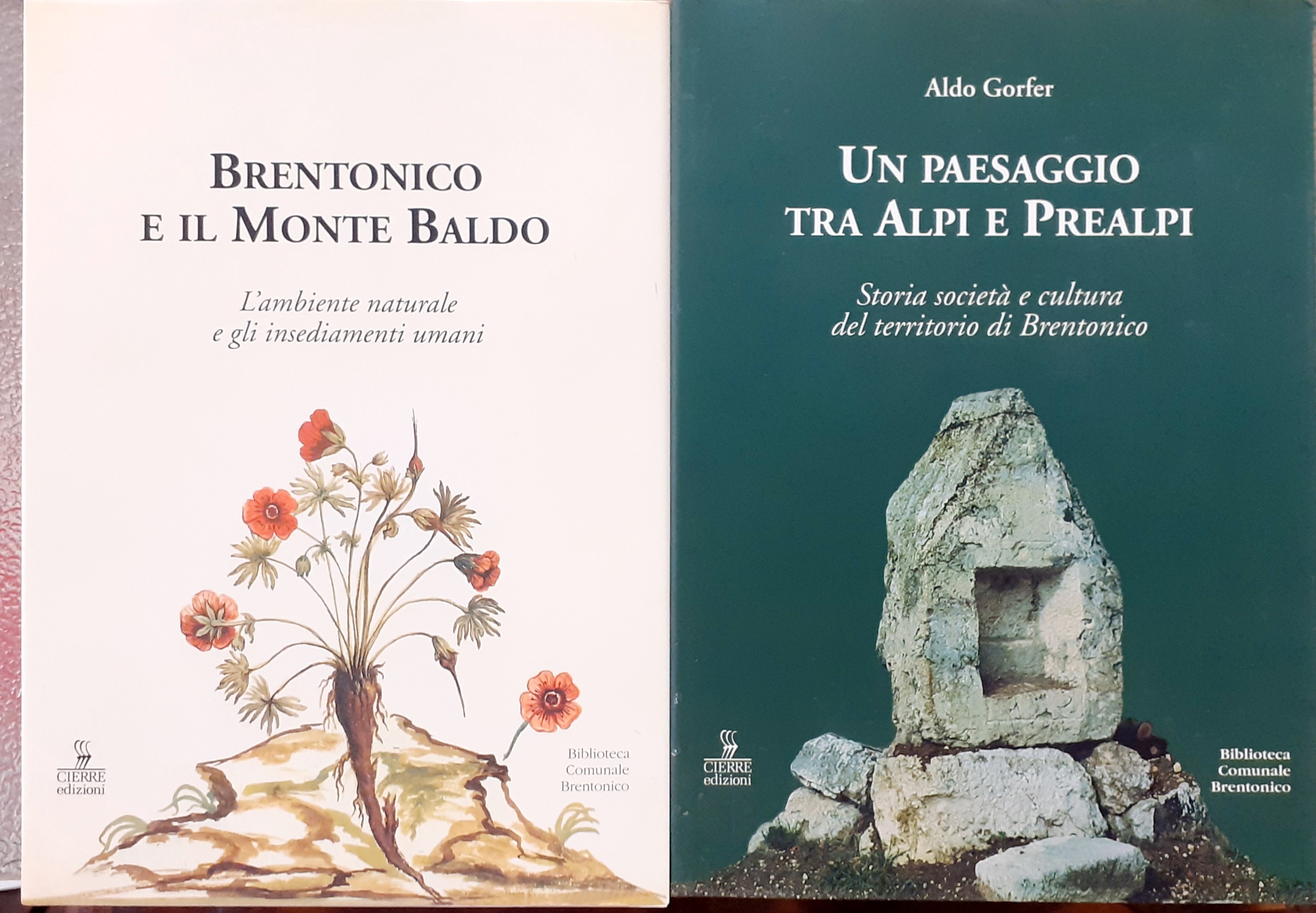 UN PAESAGGIO TRA ALPI E PREALPI; STORIA E SOCIETA' E …