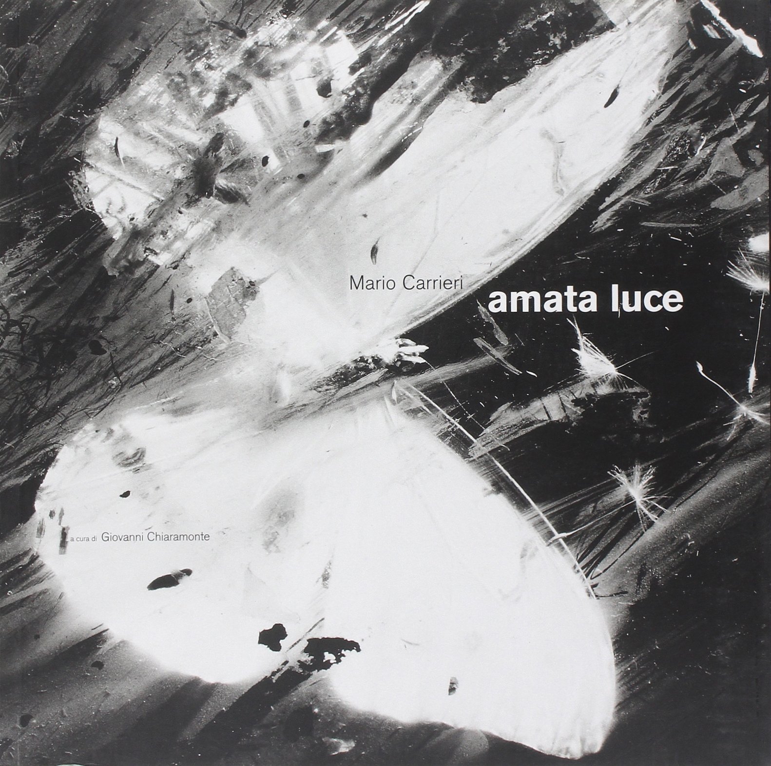 Amata luce