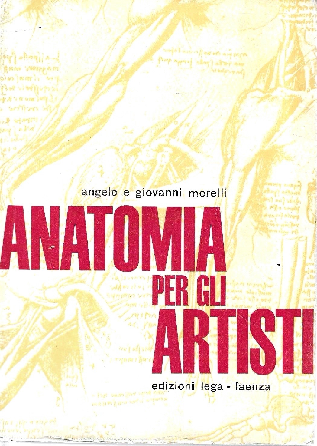 Anatomia per gli artisti