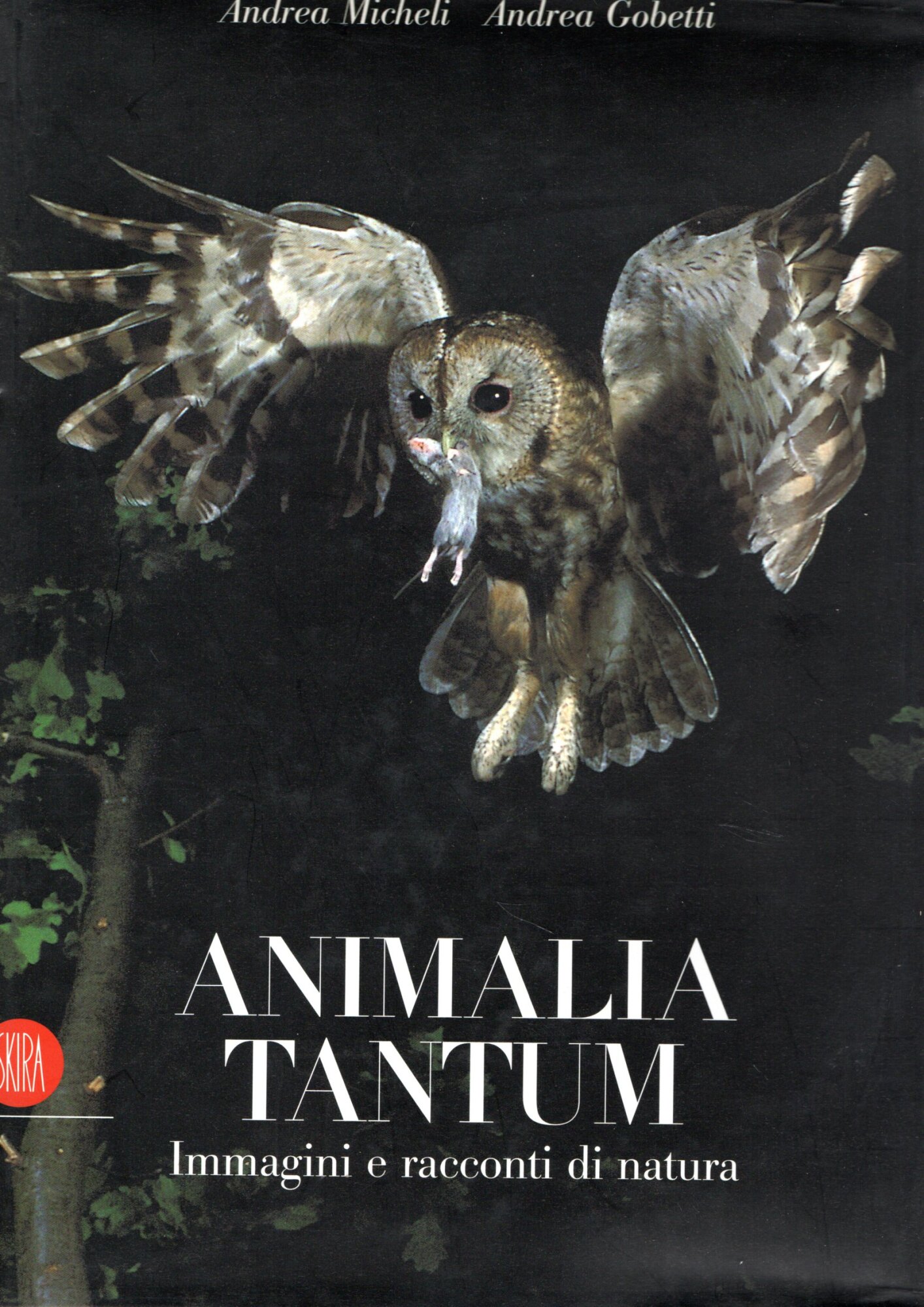 Animalia tantum : Immagini e racconti di natura