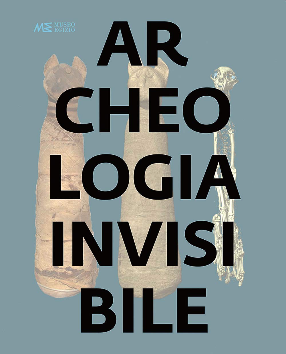 Archeologia invisibile. Catalogo della mostra (Torino, 13 marzo 2019-6 gennaio …
