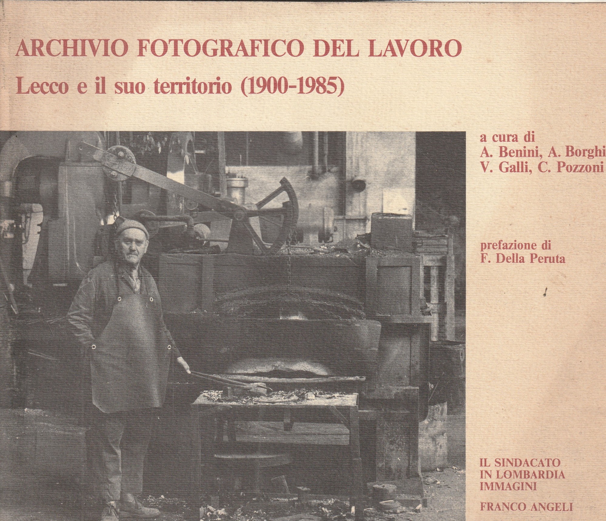 Archivio fotografico del lavoro. Lecco e il suo territorio (1900-1985)