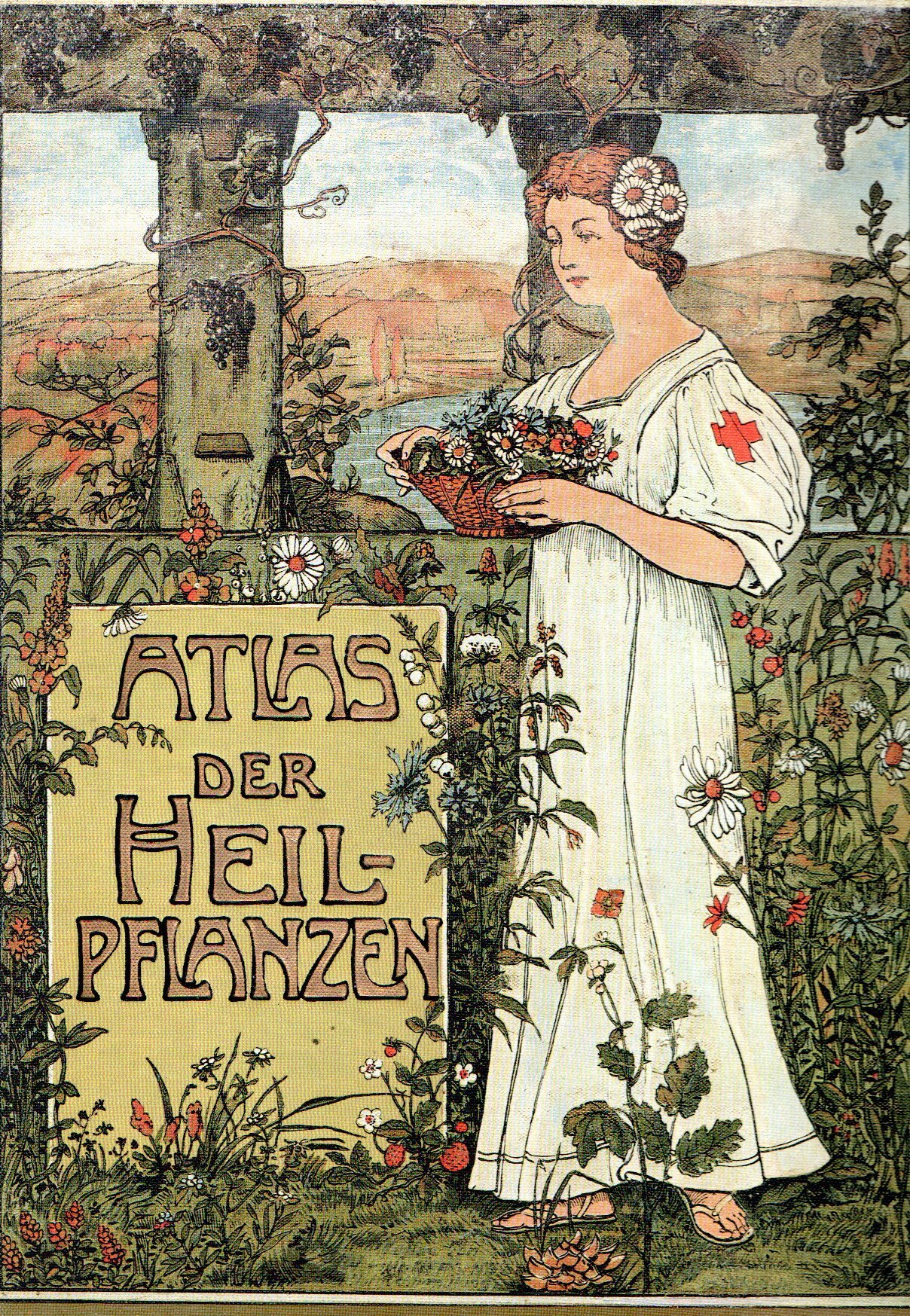 Atlas der Heilpflanzen des Praelaten Kneipp