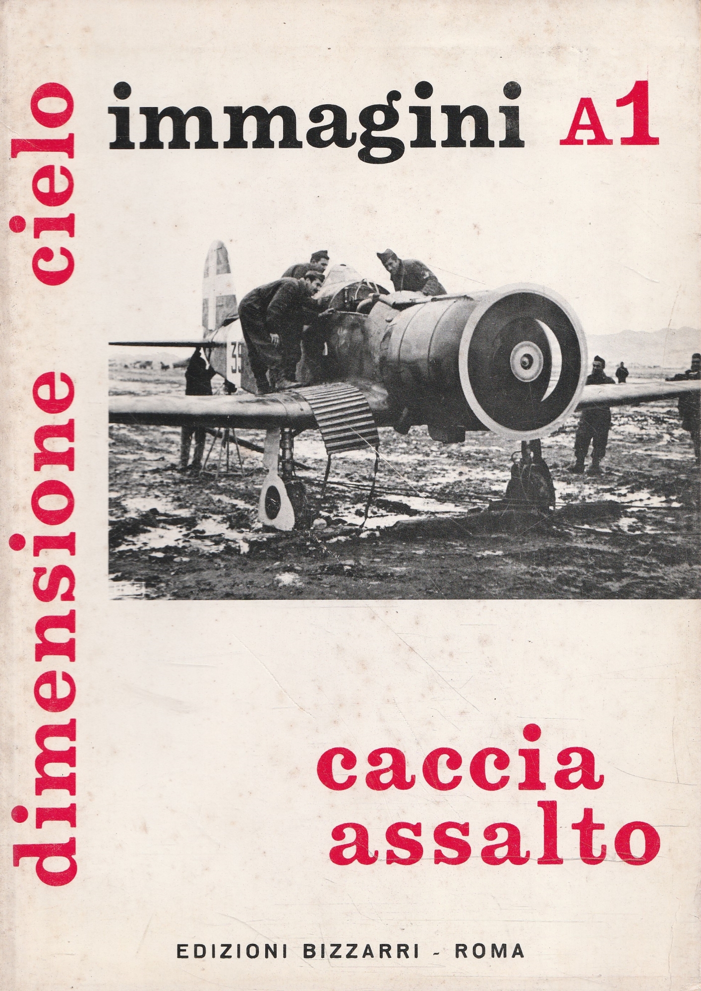 Caccia assalto - Dimensione cielo: aerei italiani nella 2° guerra …