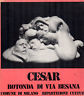 CESAR. Rotonda di Via Besana