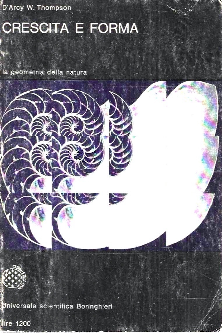 Crescita e forma. La geometria della natura