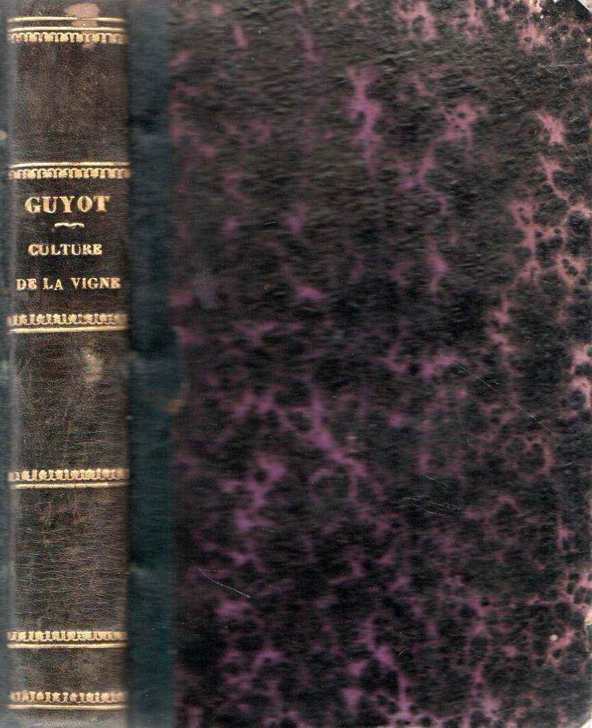 Culture de La Vigne et Vinification per le docteur Jules …