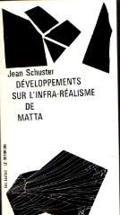 Développements sur l'infra-réalisme de Matta