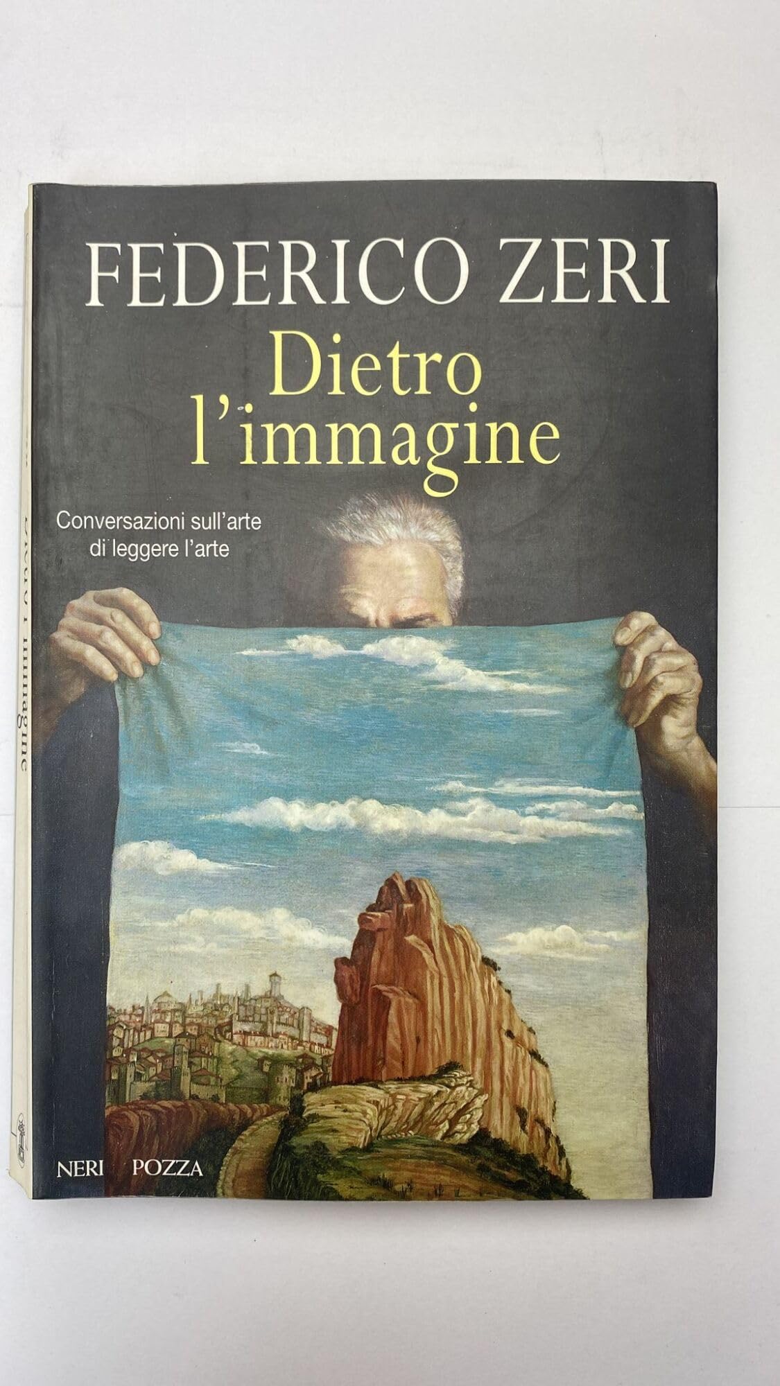 Dietro l'immagine. Conversazioni sull'arte di leggere l'arte
