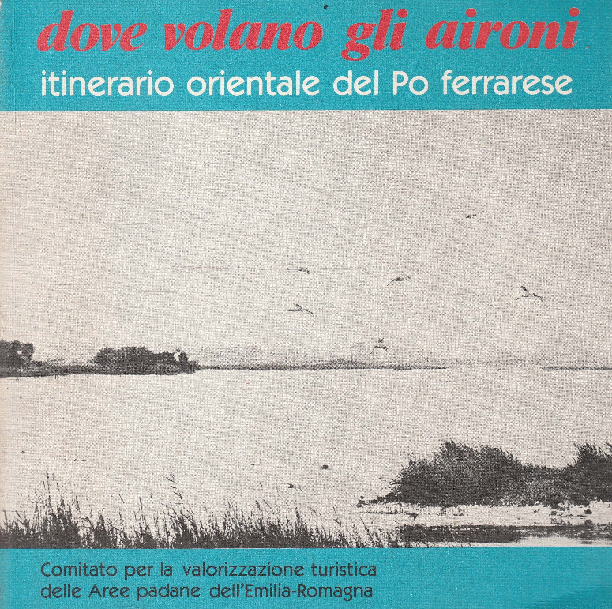 Dove volano gli aironi. Itinerario orientale del Po ferrarese