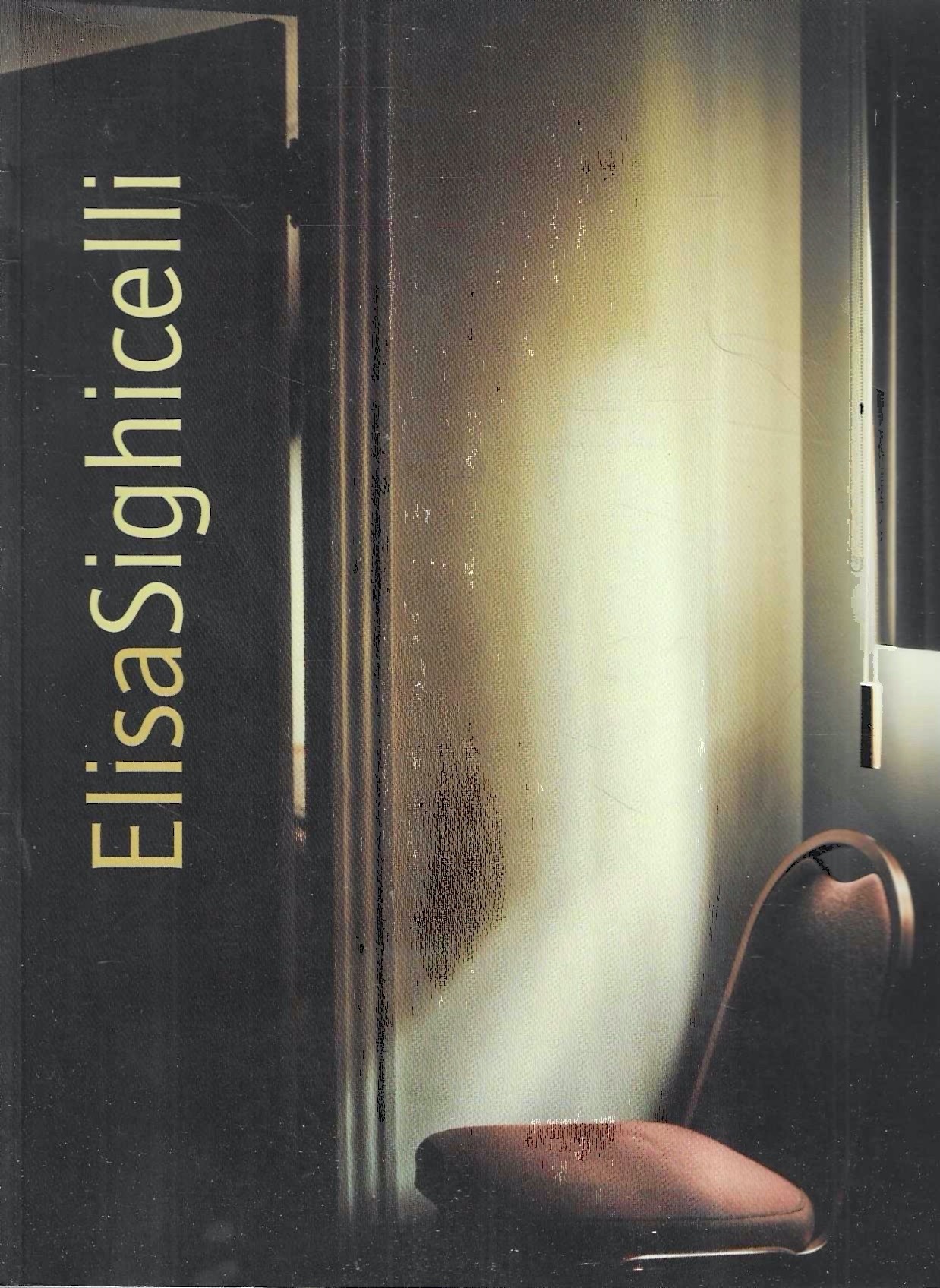 Elisa Sighicelli (Catalogo della Mostra - Cardiff, 1999)