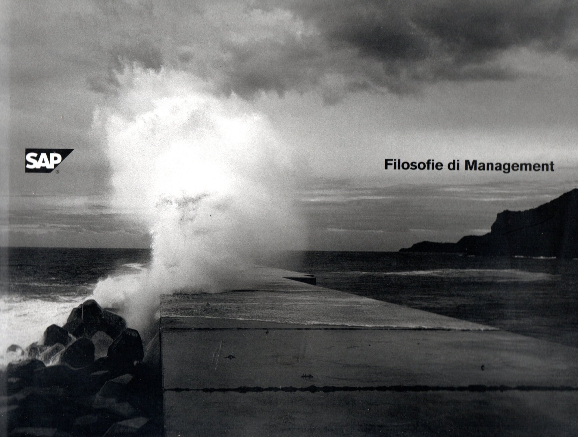 Filosofie di menagement
