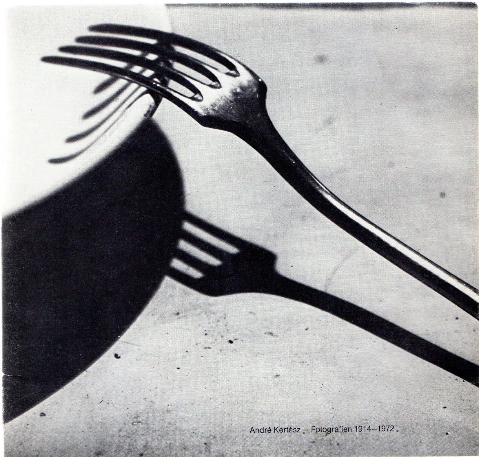 Fotografien 1914 - 1972