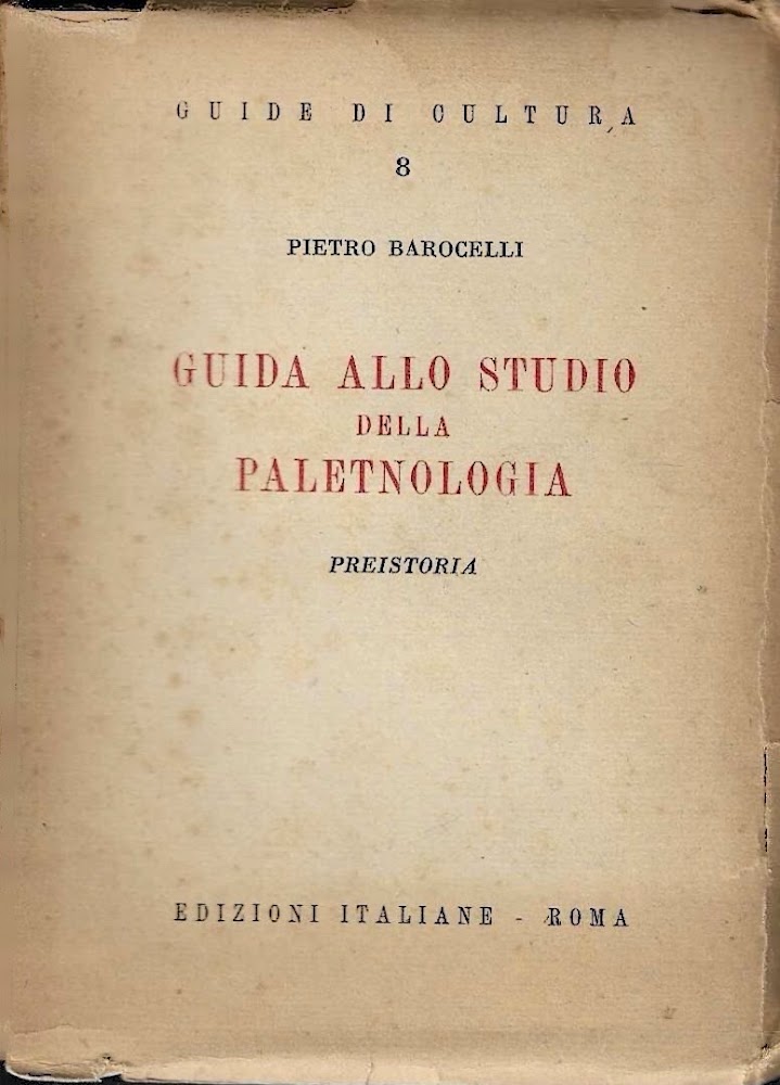 Guida allo studio della paletnologia: preistoria