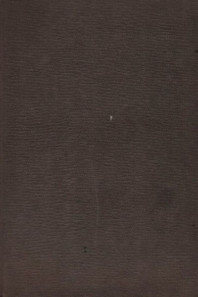 I fasti di Piacenza.