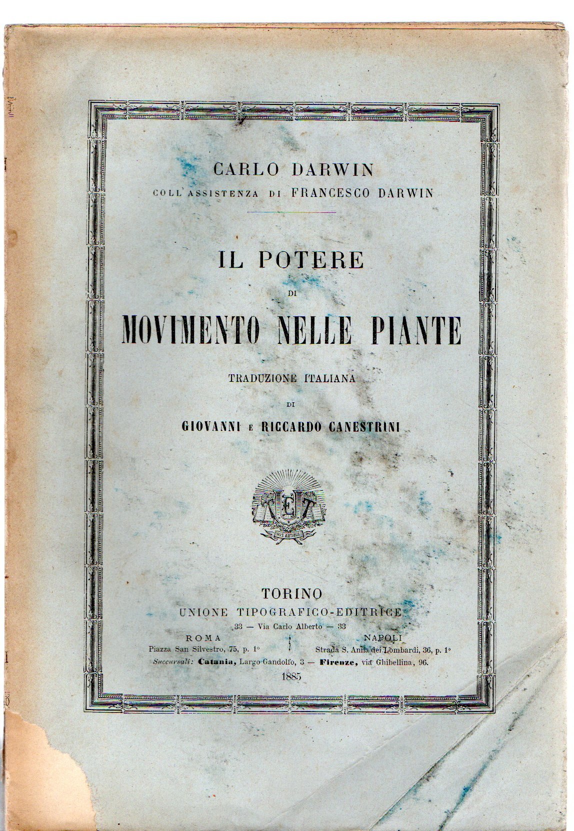 IL POTERE DI MOVIMENTO NELLE PIANTE