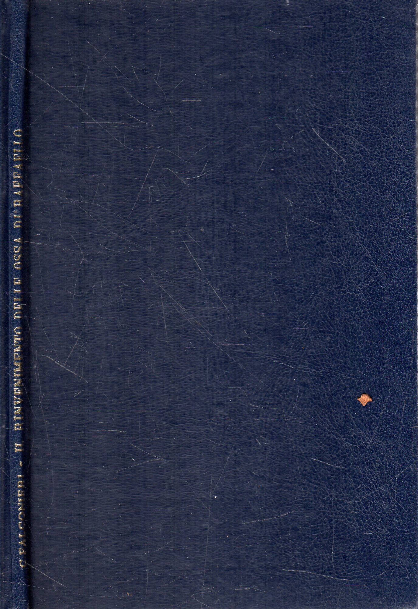 Il ritrovamento delle ossa di Raffaello