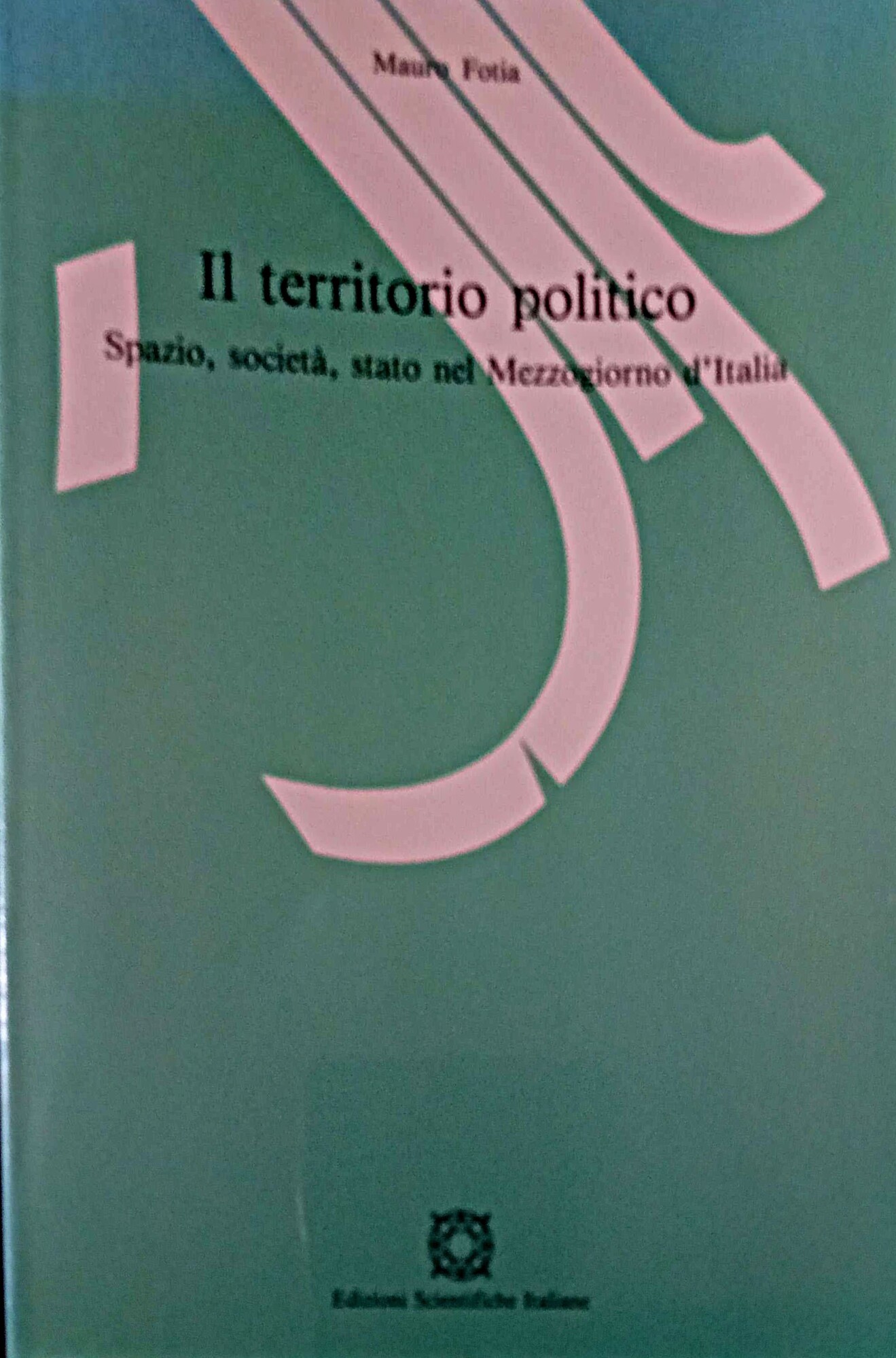 Il territorio politico. Spazio, società, Stato nel Mezzogiorno d'Italia