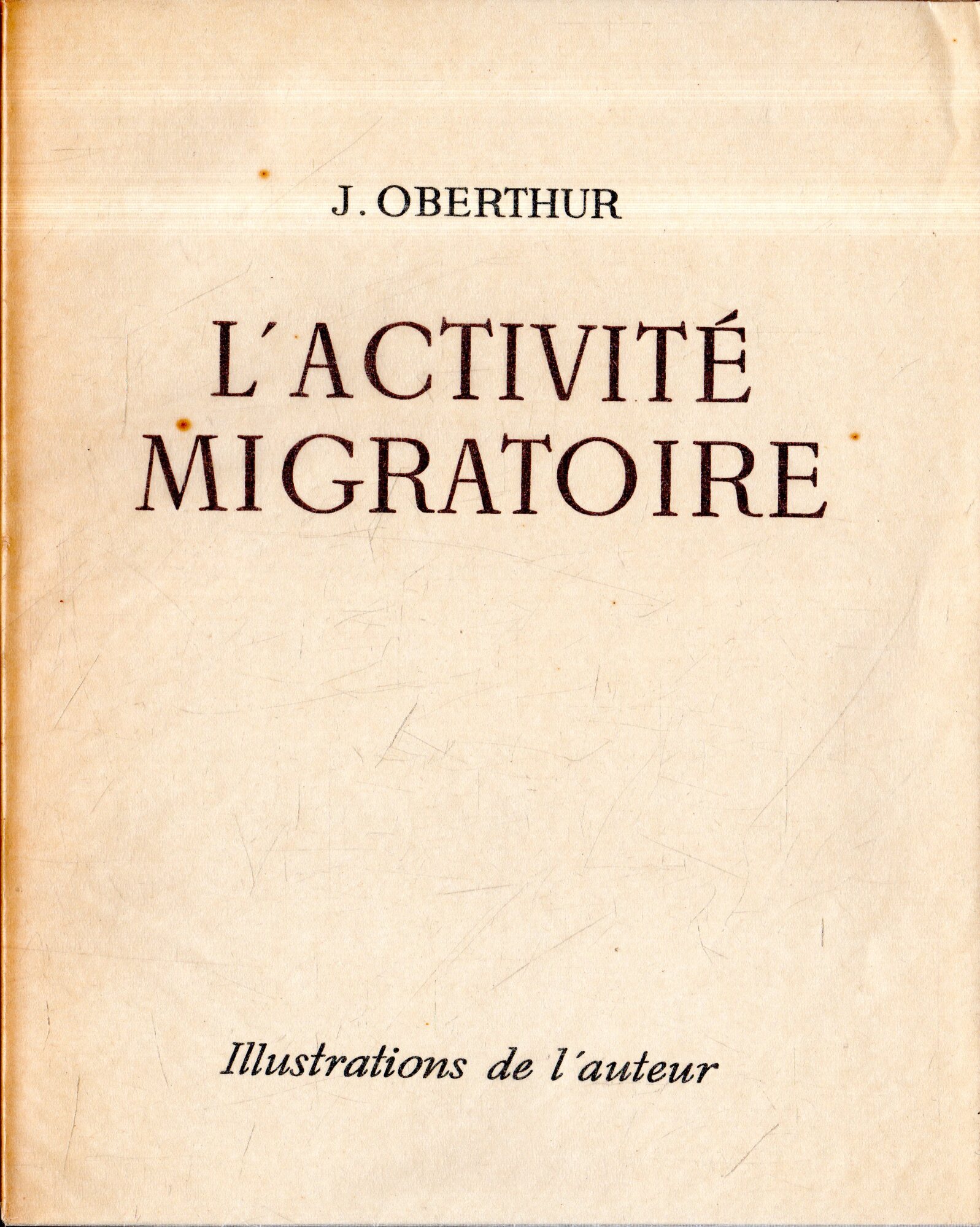 L'Activité Migratoire. Illustrations de l'auteur