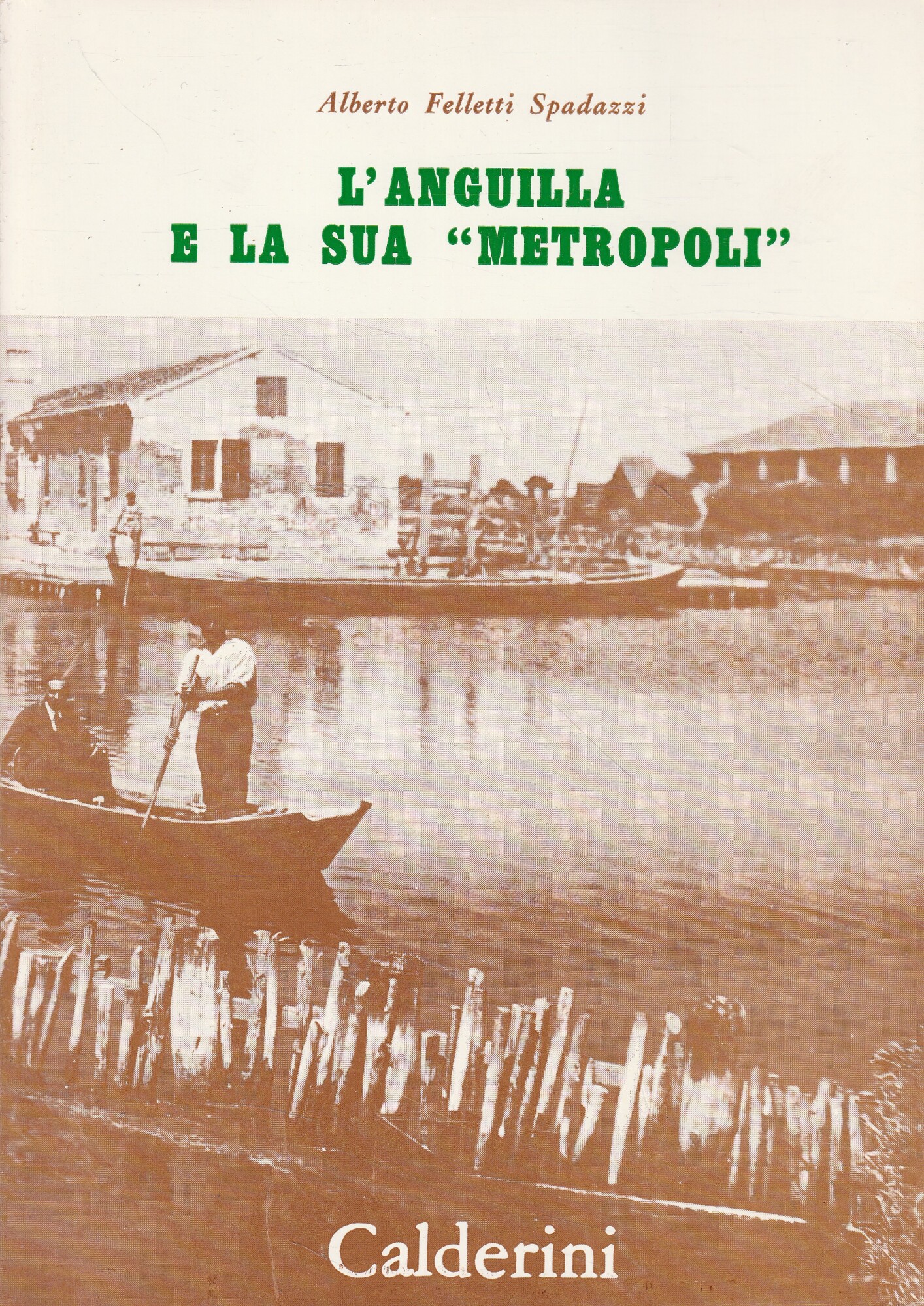 L'anguilla e la sua "Metropoli" (dai manoscritti di Arturo Bellini)