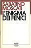 L'ENIGMA DEI FENICI