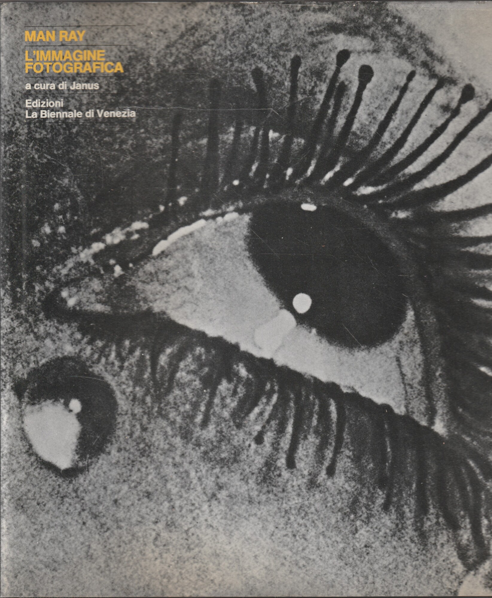 L'immagine fotografica