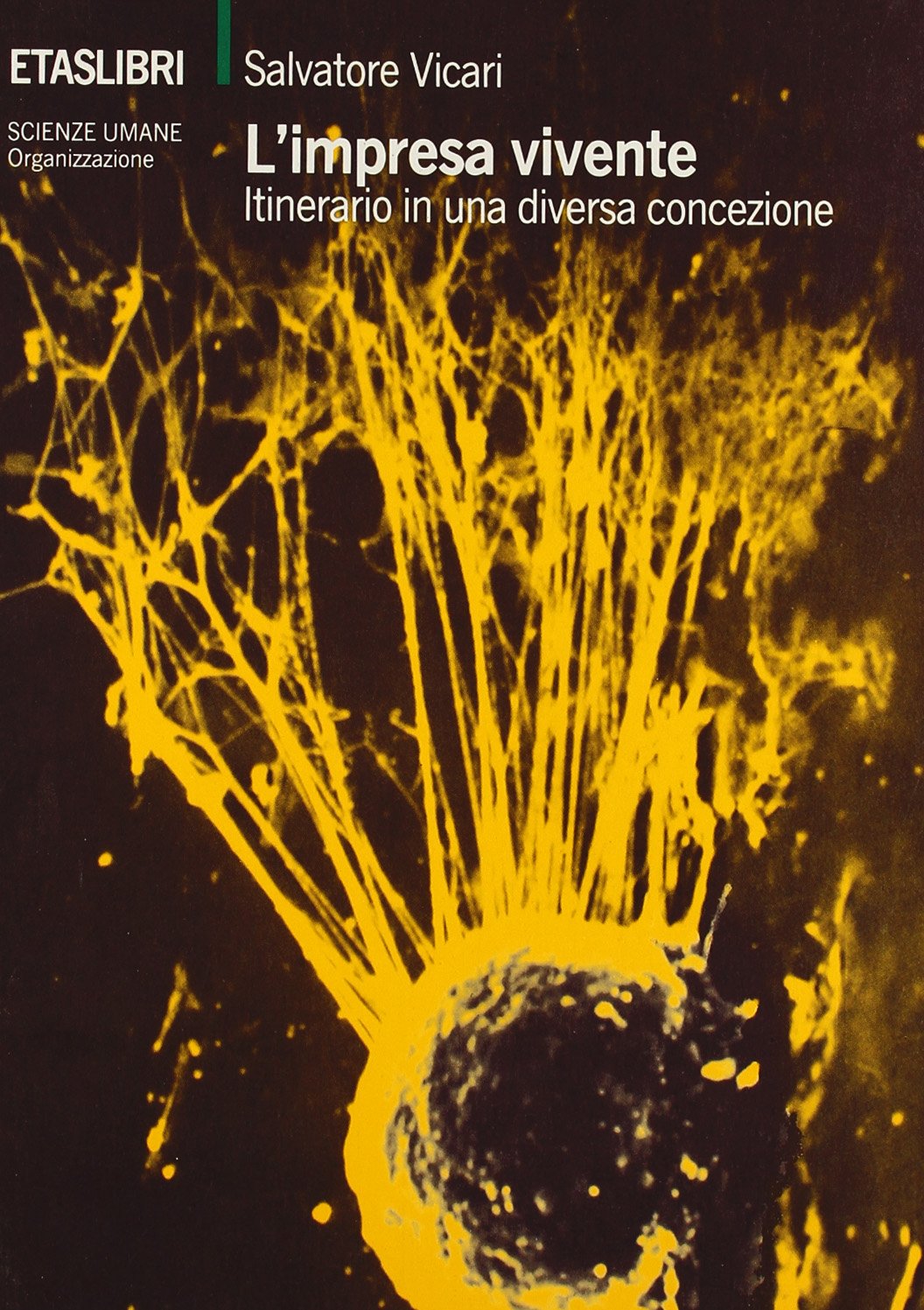 L'impresa vivente. Itinerario in una diversa concezione