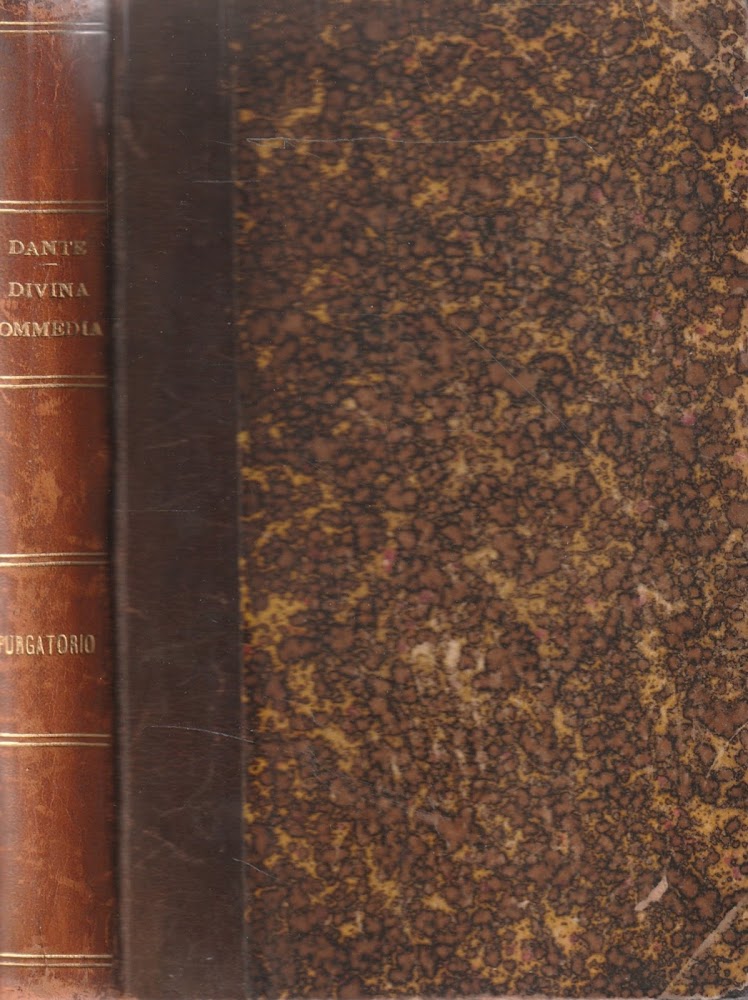 La divina commedia. Purgatorio