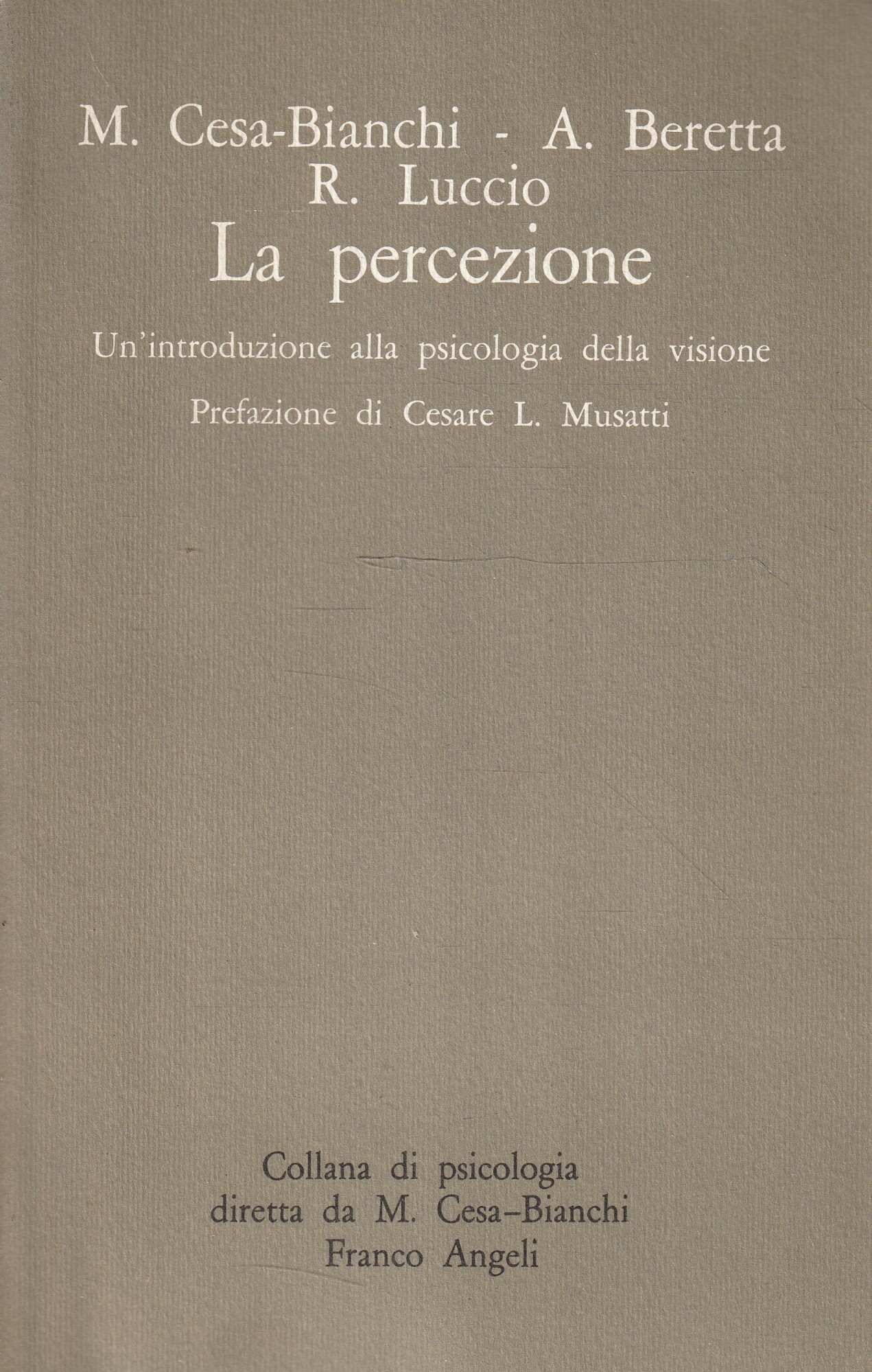 La percezione : un' introduzione alla psicologia della visione