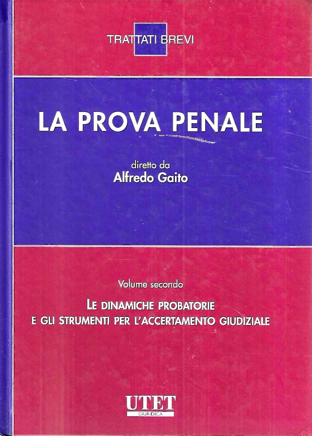 Le dinamiche probatorie e gli strumenti per l'accertamento giudiziale - …