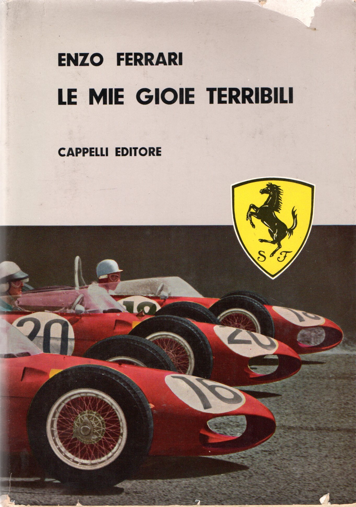 Le mie gioie terribili