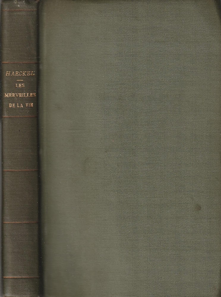 Les Merveilles de la Vie