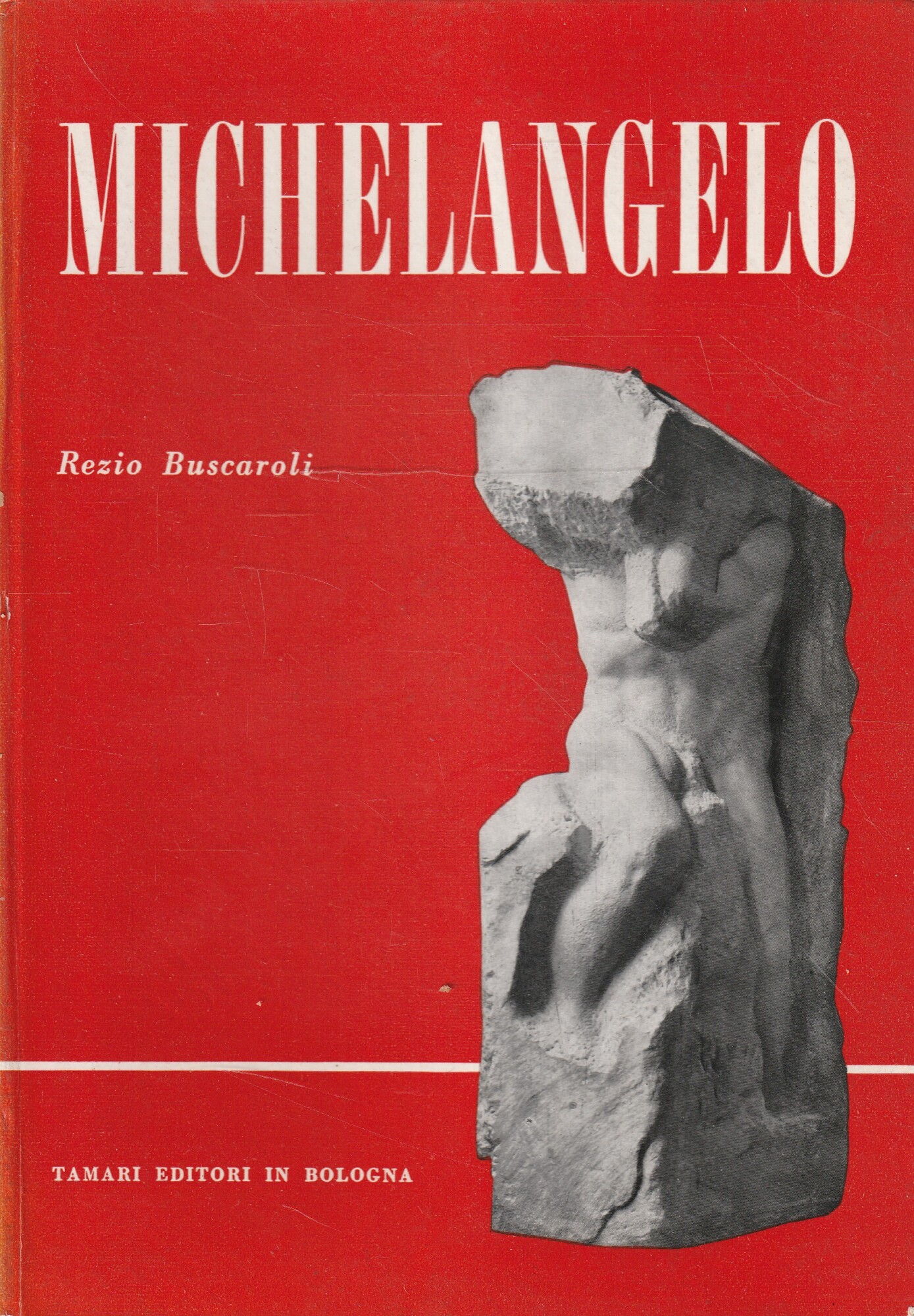 Michelangelo. La vita-La teorica sull'arte-Le opere