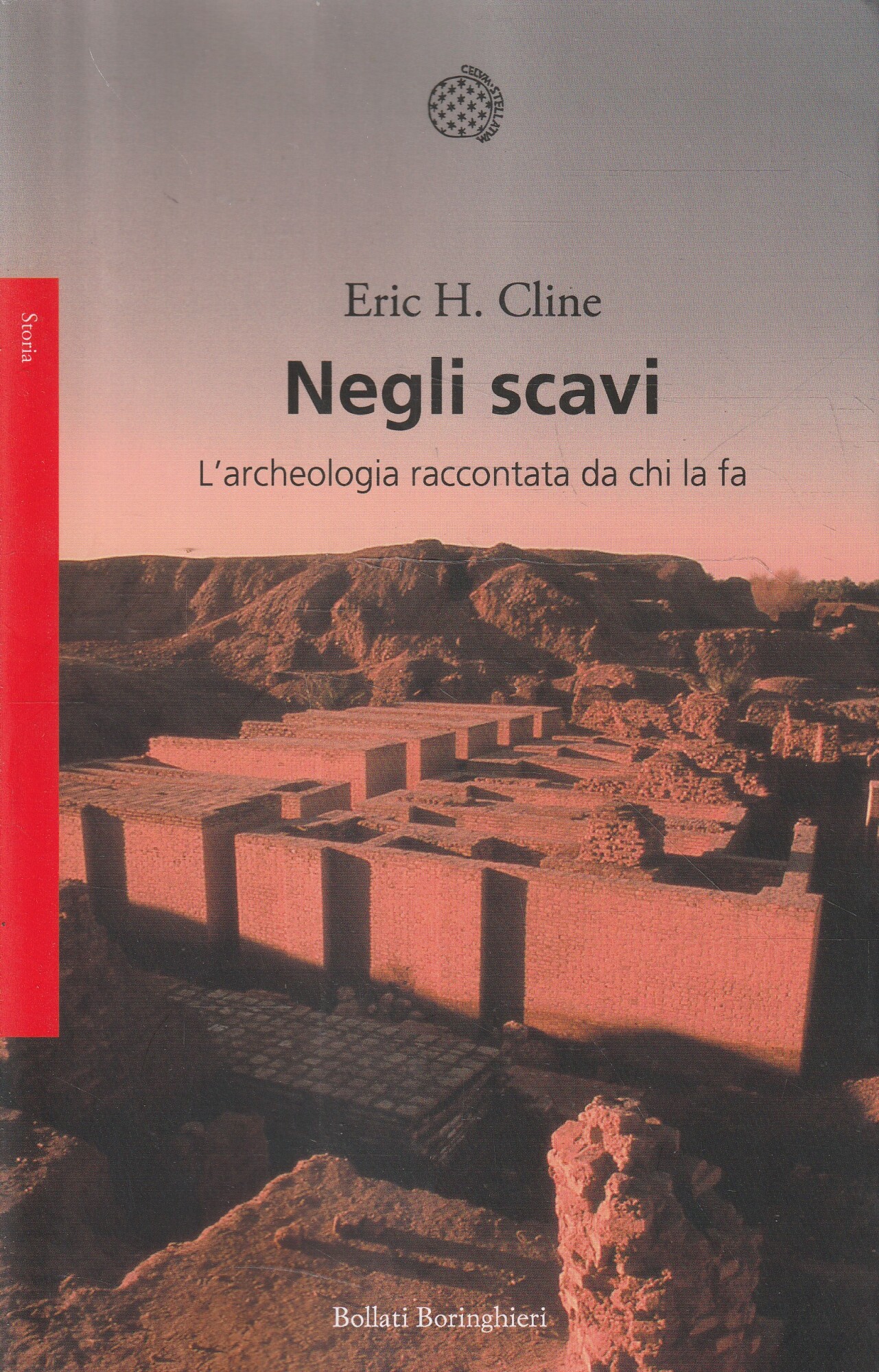 Negli scavi : l'archeologia raccontata da chi la fa