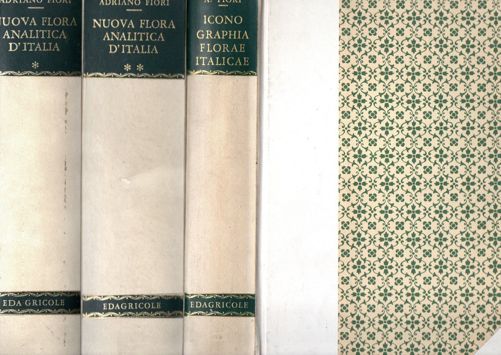 Nuova flora analitica d'Italia (3 vol.)