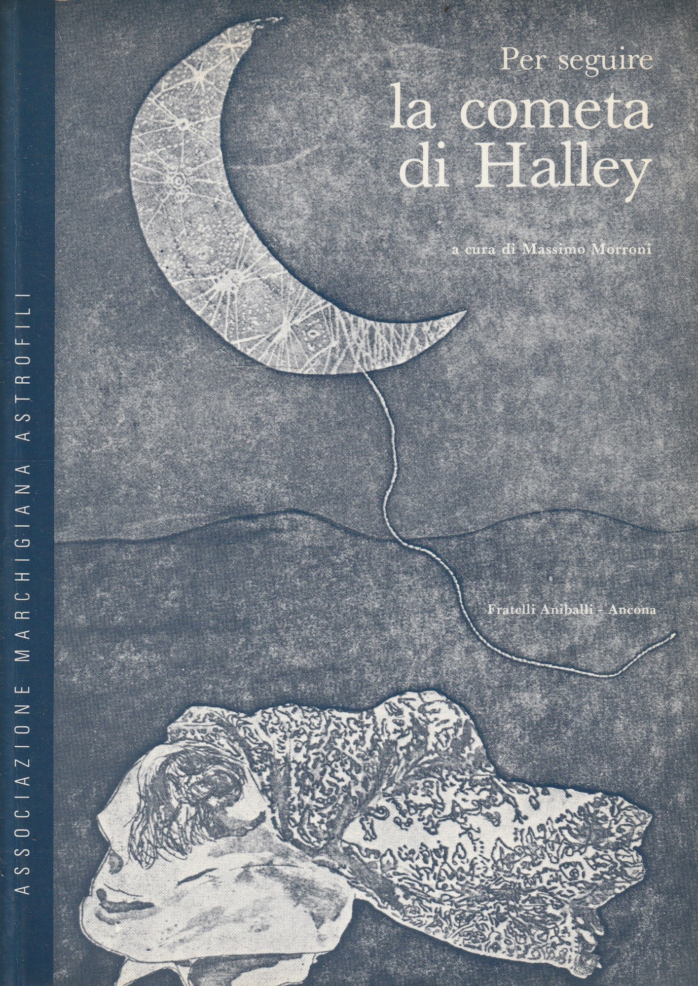 Per seguire la cometa di Halley