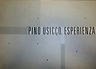 PINO USICCO. ESPERIENZA
